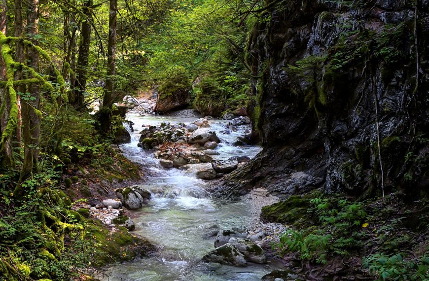 agua y energía